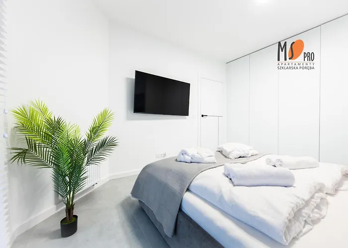 Ms Pro Premium Belle View Z Mini *